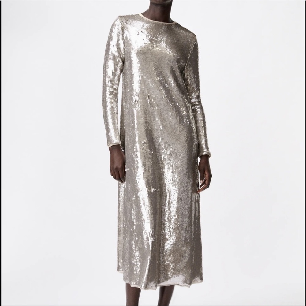Zara Sequin Knit Dress